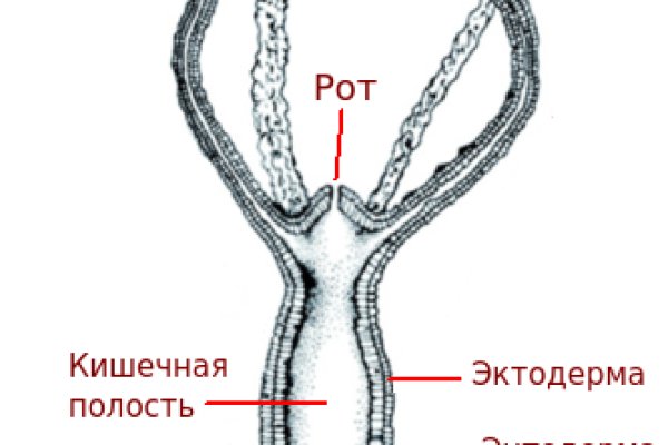 Kraken сайт krakens15 at